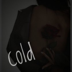 Мұқаба Dos Ton - Cold