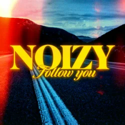 Мұқаба Noizy - Follow You