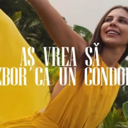Мұқаба Anda Călugăreanu - Aș vrea să zbor ca un condor (Mentol & Daniel Pavel Remix)