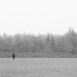 Мұқаба EKKSTACY - i walk this earth all by myself