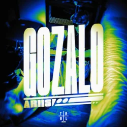 Мұқаба Ariis - Gozalo (Super Slowed)