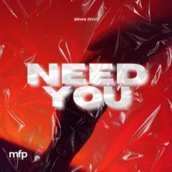 Мұқаба Brian Zeno - Need You