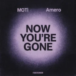 Мұқаба MOTi & Amero - Now You're Gone