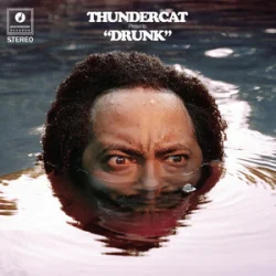 Мұқаба Thundercat - Friend Zone