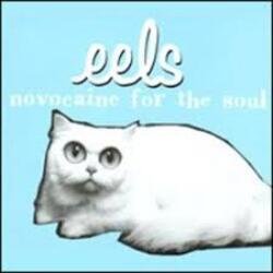Мұқаба Eels - Novocaine For the Soul