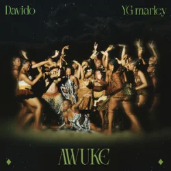 Мұқаба Davido & YG Marley - Awuke