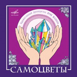 Мұқаба ВИА САМОЦВЕТЫ - По морозу, по зиме