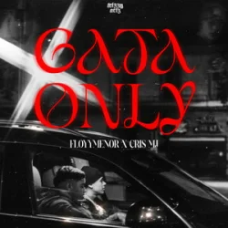 Мұқаба FleyMianer & Cris MJ - Gata Only