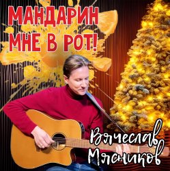Мұқаба Вячеслав Мясников - Мандарин мне в рот!