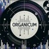 Мұқаба Dj Bobojon - For You Dj Bobojon - For You