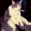 Мұқаба Lenar - Otro Trago Lenar - Otro Trago