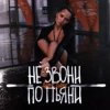 Мұқаба Денис Лирик - Не звони по пьяни Денис Лирик - Не звони по пьяни