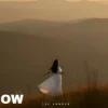 Мұқаба The Shadow - The lesson of love The Shadow - The lesson of love