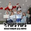 Мұқаба Pops-Pups - Ненастоящий Дед Мороз Pops-Pups - Ненастоящий Дед Мороз