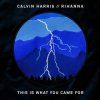Мұқаба Calvin Harris feat. Rihanna - This Is What You Came For Calvin Harris feat. Rihanna - This Is What You Came For