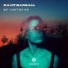 Мұқаба Davit Barqaia - But I Can t See You Davit Barqaia - But I Can t See You