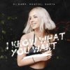 Мұқаба Mentol & Ida - When Love Takes Over Mentol & Ida - When Love Takes Over