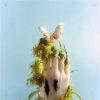 Мұқаба Liu Lian - Drop It High Liu Lian - Drop It High