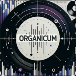 Мұқаба Dj Bobojon - For You
