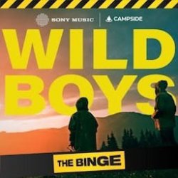Мұқаба The Wild Boys - The Drunken Sailor