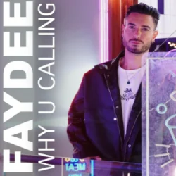 Мұқаба Faydee - Why U Calling