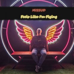 Мұқаба Missud - What Are You Waiting For