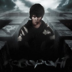 Мұқаба Dubinin - Лабиринт