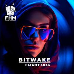 Мұқаба Bitwake - Flight 3033