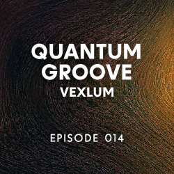 Мұқаба Vexlum - Quantum Groove 014