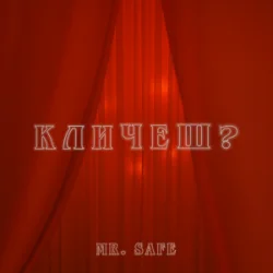 Мұқаба Mr. Safe - Кличеш?