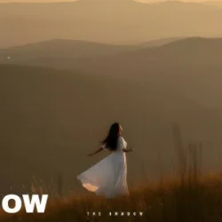 Мұқаба The Shadow - The lesson of love