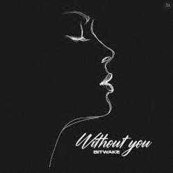 Мұқаба Bitwake - Without You