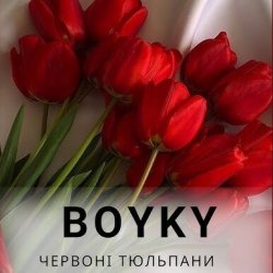 Мұқаба Бойки - Червоні тюльпани