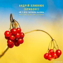 Мұқаба Бумбокс - Ой У Лузі Червона Калина
