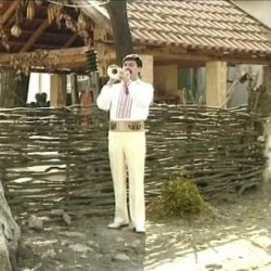 Мұқаба Adam Stîngă - Sirba de pe valea Prutului