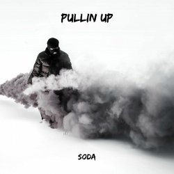 Мұқаба Soda - Taste