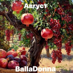 BallaDonna - Август