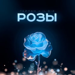 Мұқаба Тайпан feat. IL'GIZ - Розы