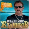 Мұқаба Владимир Ждамиров - Любимая Владимир Ждамиров - Любимая