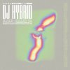 Мұқаба DJ Hybrid - Gone DJ Hybrid - Gone