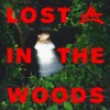 Мұқаба Elderbrook & Adriatique - Lost In The Woods Elderbrook & Adriatique - Lost In The Woods