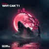 Мұқаба Miyuki - Why Can´t I Miyuki - Why Can´t I