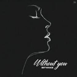 Мұқаба Bitwake - Promises