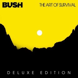 Мұқаба Bush - Slow Me
