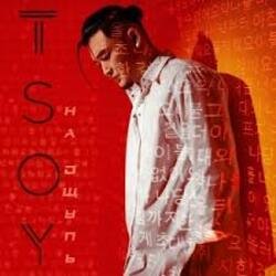 Мұқаба TSOY - Пледик