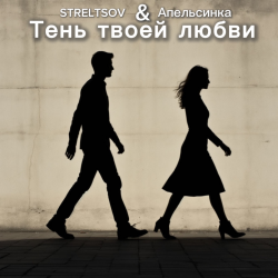 Мұқаба Тень твоей любви