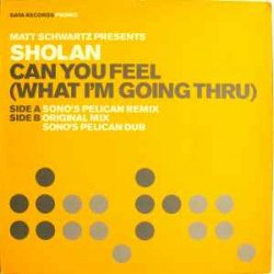 Мұқаба Matt Schwartz pres. Sholan - Can You Feel