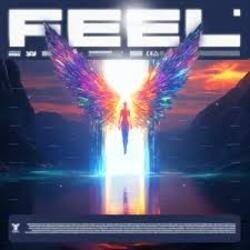 Мұқаба MIRIDON - Feel