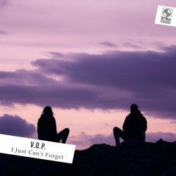 Мұқаба V.O.P. - I Just Can't Forget