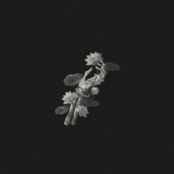 Мұқаба John Michael Howell & JVKE & ZVC - A Thousand Year